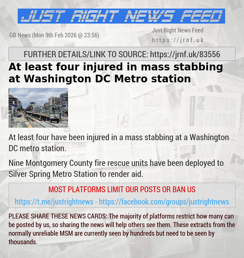 At least four injured in mass stabbing at Washington DC Metro station