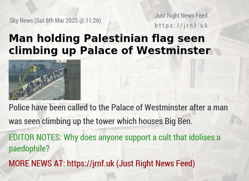 Man holding Palestinian flag seen climbing up Palace of Westminster