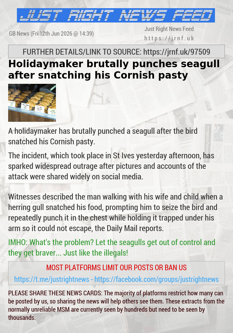 Holidaymaker brutally punches seagull after snatching his Cornish pasty