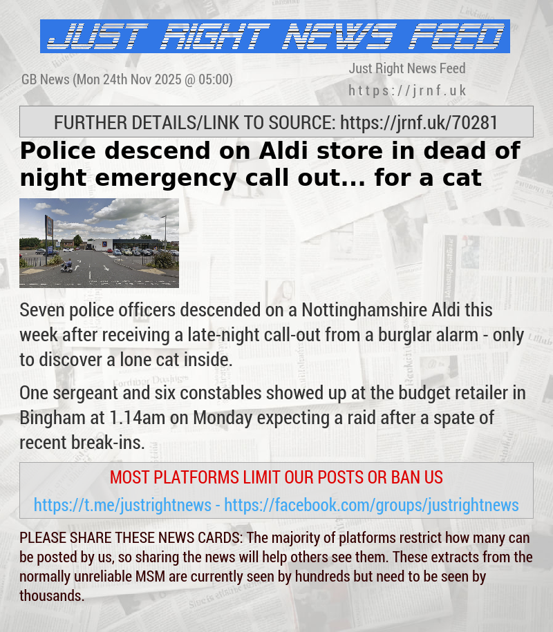 Police descend on Aldi store in dead—of—night emergency call—out... for a cat