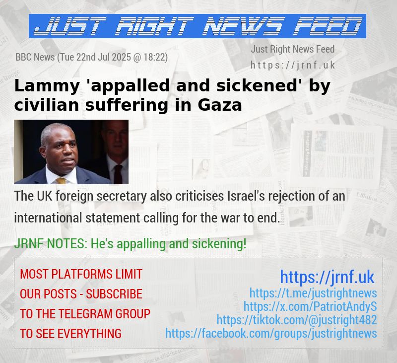 Lammy ’appalled and sickened’ by civilian suffering in Gaza