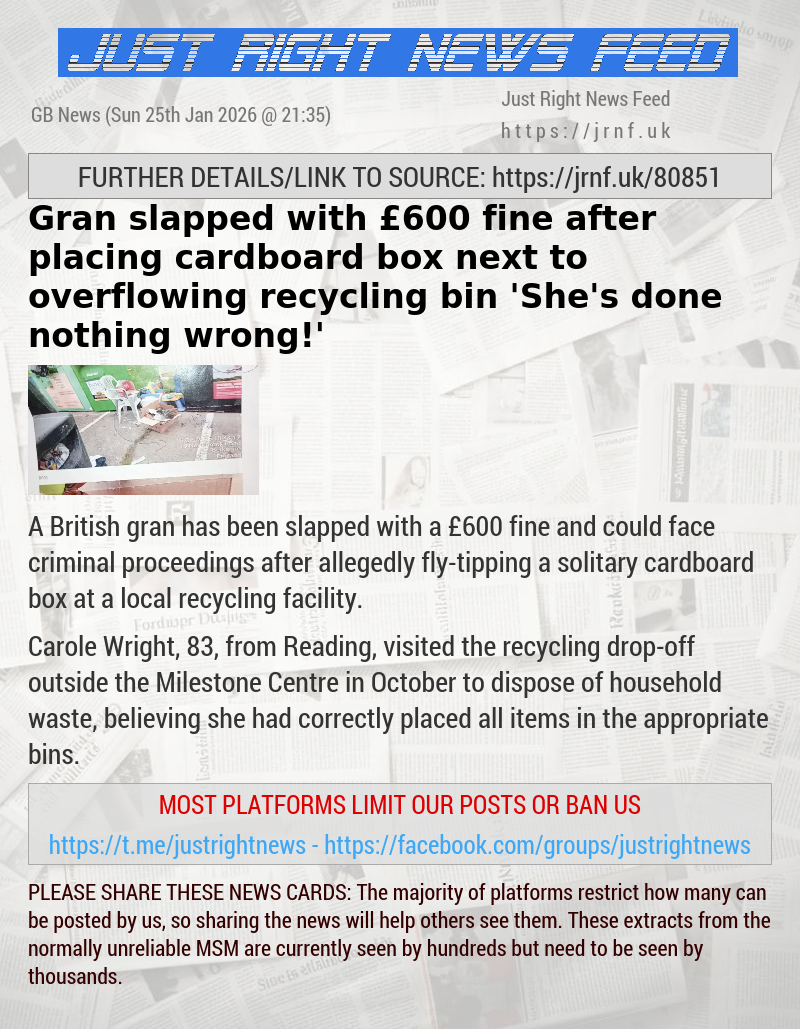 Gran slapped with &pound;600 fine after placing cardboard box next to overflowing recycling bin — ’She’s done nothing wrong!’