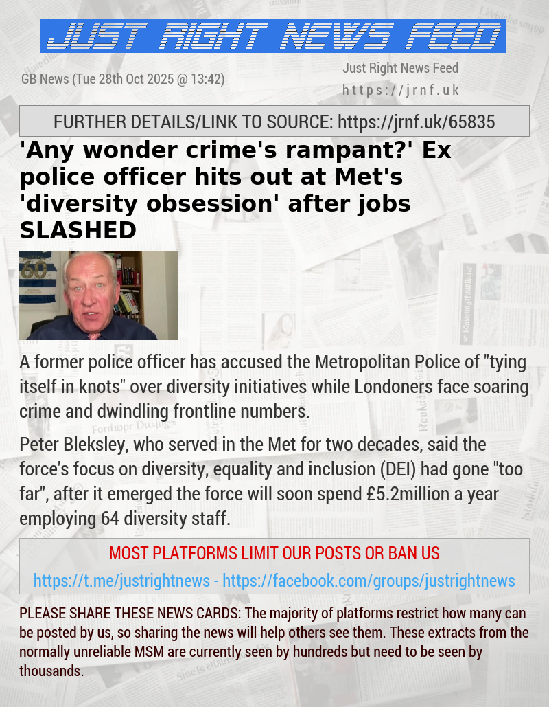 ’Any wonder crime’s rampant?’ Ex—police officer hits out at Met’s ’diversity obsession’ after jobs SLASHED