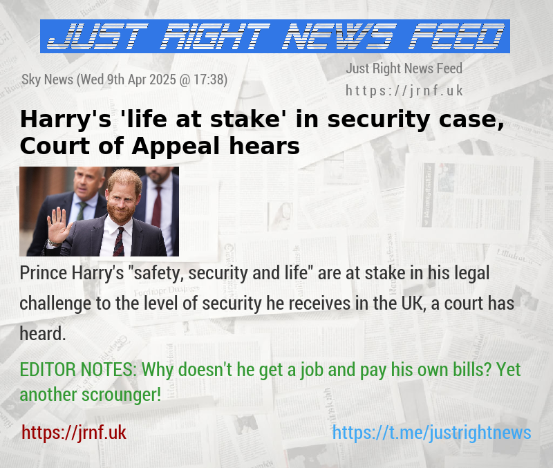 Harry’s ’life at stake’ in security case, Court of Appeal hears