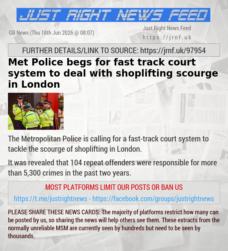 Met Police begs for fast—track court system to deal with shoplifting scourge in London