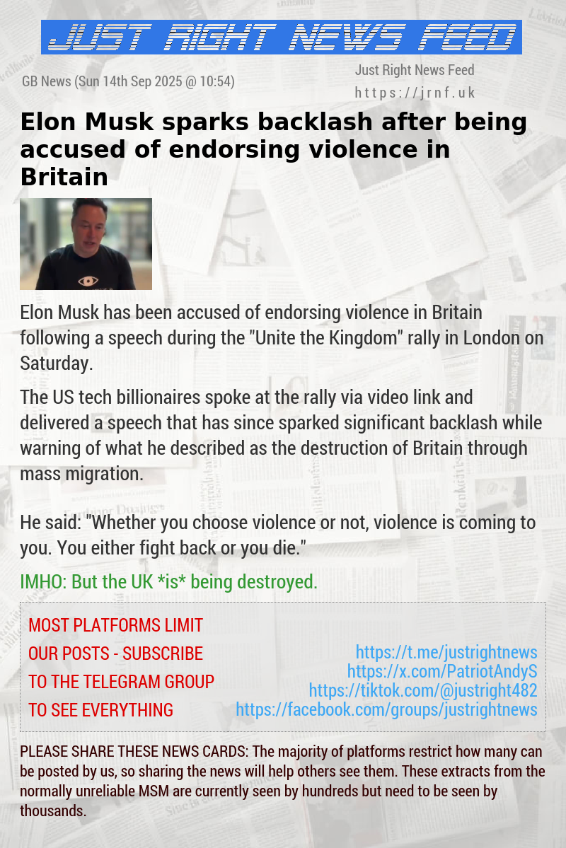 Elon Musk sparks backlash after being accused of endorsing violence in Britain