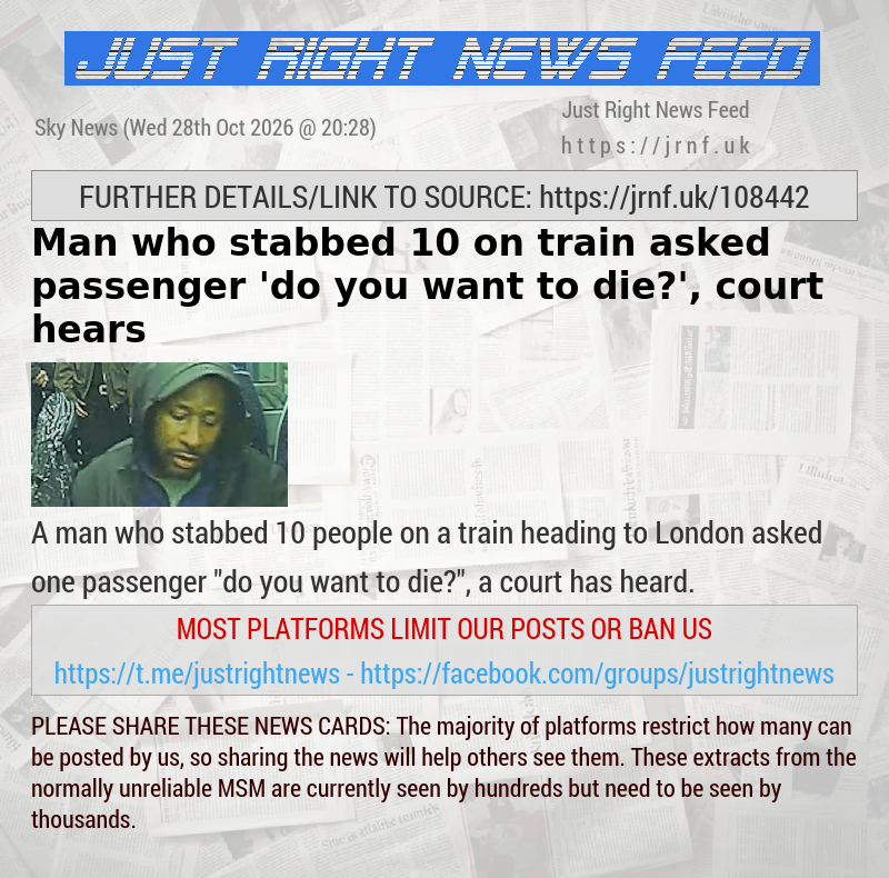 Man who stabbed 10 on train asked passenger ’do you want to die?’, court hears