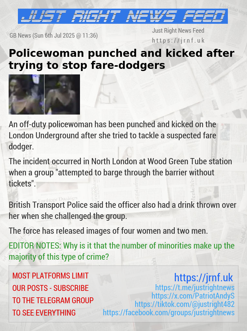 Policewoman punched and kicked after trying to stop fare—dodgers