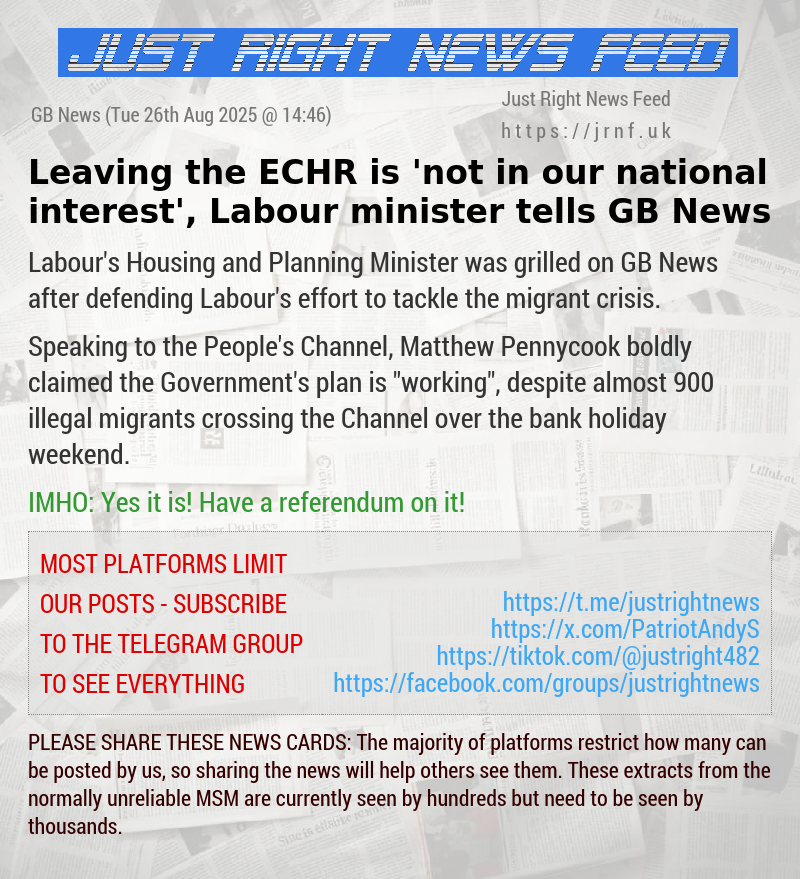 Leaving the ECHR is ’not in our national interest’, Labour minister tells GB News