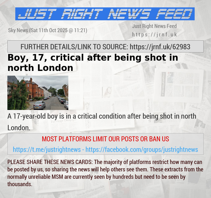 Boy, 17, critical after being shot in north London