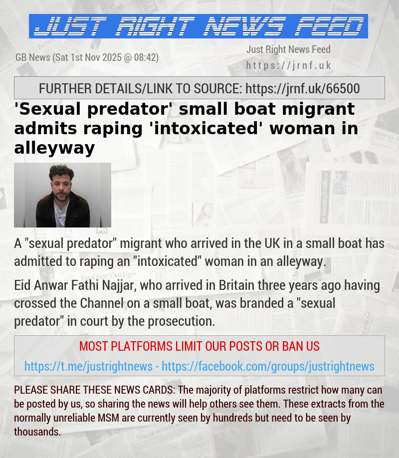 ’Sexual predator’ small boat migrant admits raping ’intoxicated’ woman in alleyway