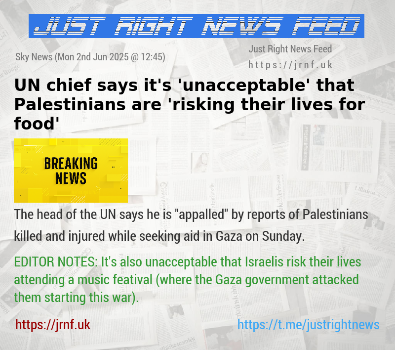 UN chief says it’s ’unacceptable’ that Palestinians are ’risking their lives for food’