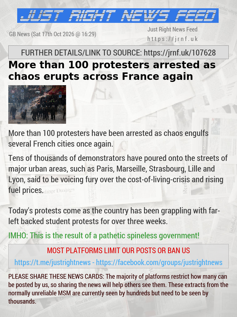 More than 100 protesters arrested as chaos erupts across France again